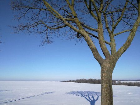 IMG-20170127-WA0000-01.jpeg