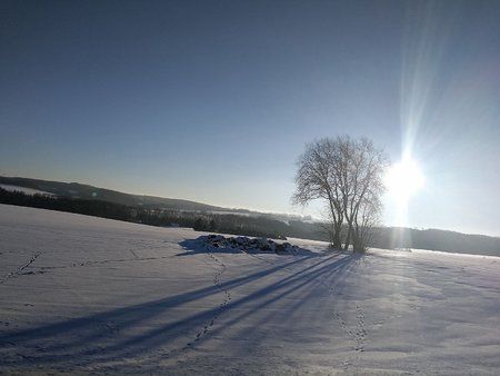 IMG-20170127-WA0023-01.jpeg