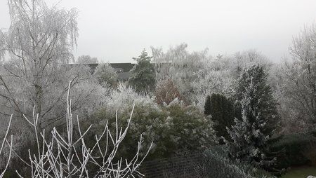 20170101_114749.jpg