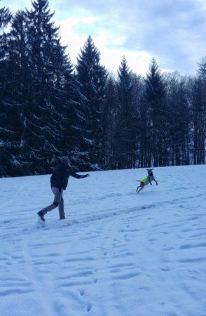 20170107_110840-01.jpeg