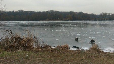 IMG_20170129_182303.jpg