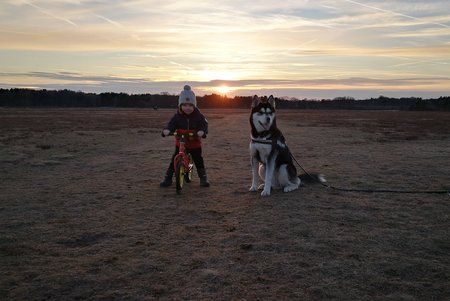 IMG_20170128_171306.jpg