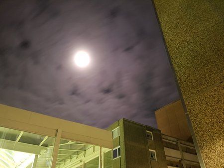 20170115_034540.jpg