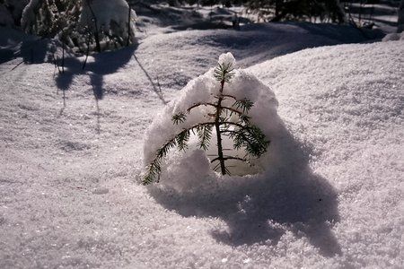 PIC_20170115_115009.jpeg