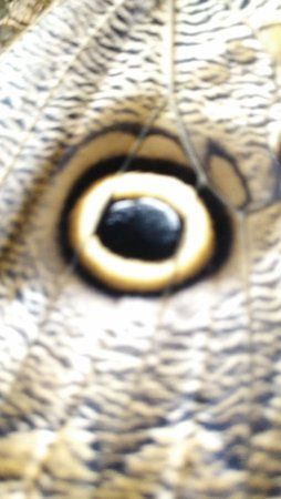 IMG_20170130_141133.jpg