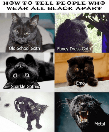 black_dress.png