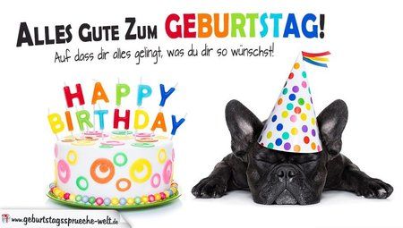 Wünsche-zum-Geburtstag-Alles-Gute-mit-Torte-und-Hund.jpg