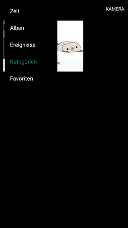 uploadfromtaptalk1486211187281.png