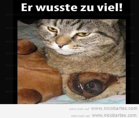 42-er-wusste-zu-viel.jpg