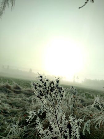 IMG_20161204_095149643_HDR.jpg