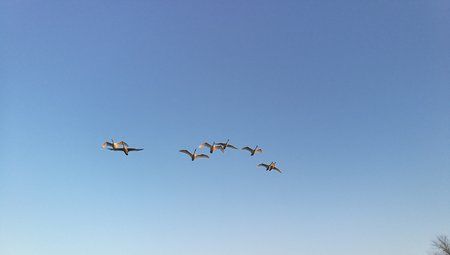 IMG_20170122_161859.jpg