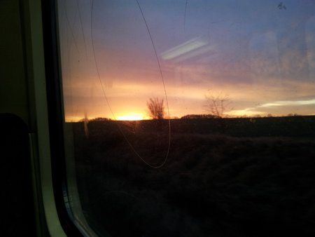 20111213_081329.jpg