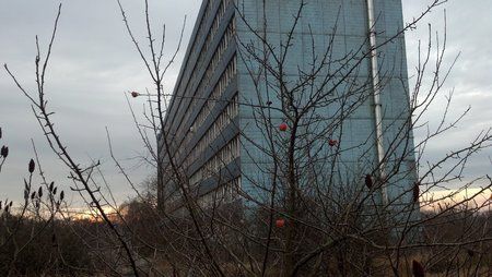 2011-12-12_08-56-19_839.jpg