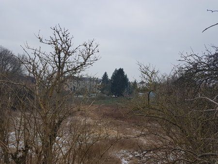20170209_102746.jpg