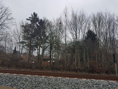 20170209_102726.jpg