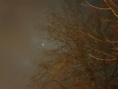 20170209_202218.jpg