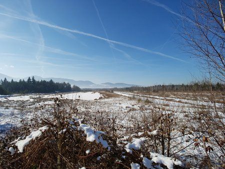 20170129_115919.jpg