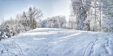 IMG_20170123_131115-01.jpeg