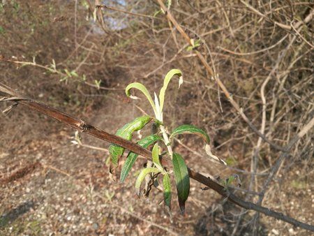 IMG_20170216_112138.jpg