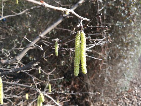 IMG_20170216_113121.jpg