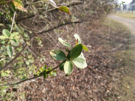 IMG_20170216_113152.jpg
