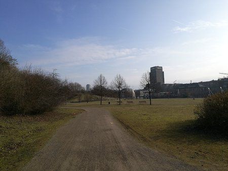 IMG_20170216_113217.jpg