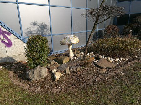 IMG_20170216_113706.jpg