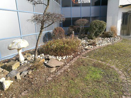 IMG_20170216_113716.jpg