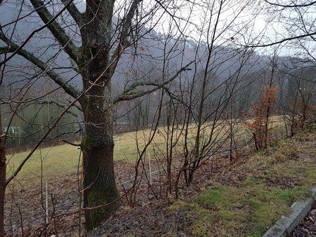 20170223_074003.jpg
