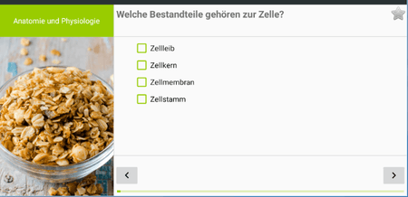 Unbenannt.PNG