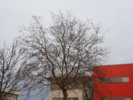 20170223_170039.jpg
