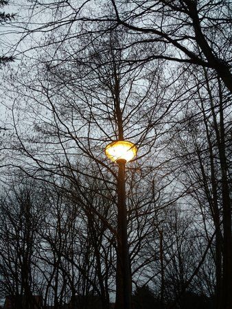IMG_20170223_072029.jpg