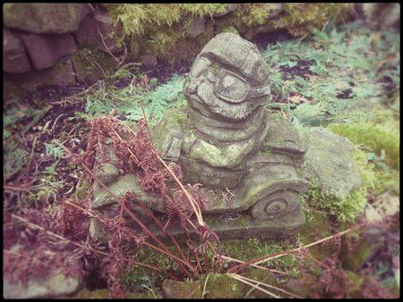 IMAG0007_Snapseed.jpg