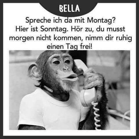 FB_IMG_1488142990483.jpg