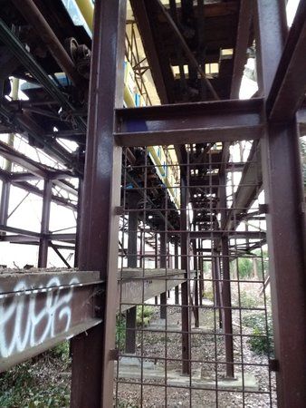 IMG_20170303_170025.jpg