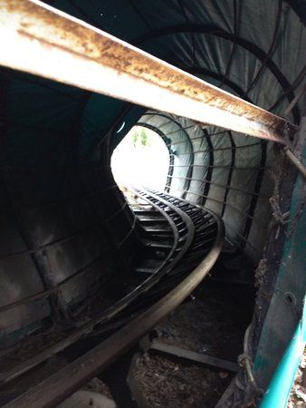 IMG_20170303_165746.jpg