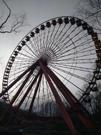 IMG_20170303_164838.jpg