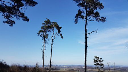20170312_195935.jpg