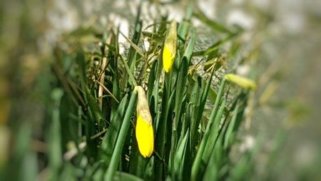 IMG-20170312-WA0002-01.jpeg