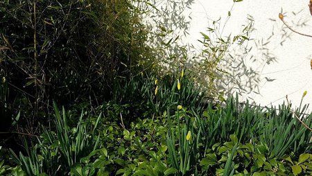 IMG-20170312-WA0004-01.jpeg