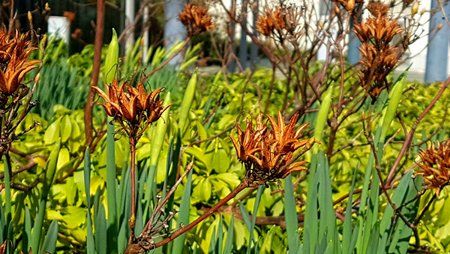 IMG-20170314-WA0002.jpg