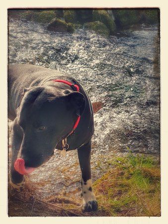 20170314_150444-EFFECTS.jpg