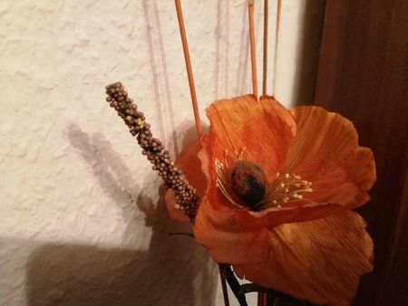 IMG_20170316_212222.jpg