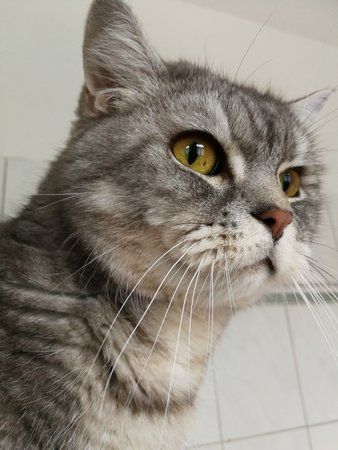 IMG_20170319_090921.jpg