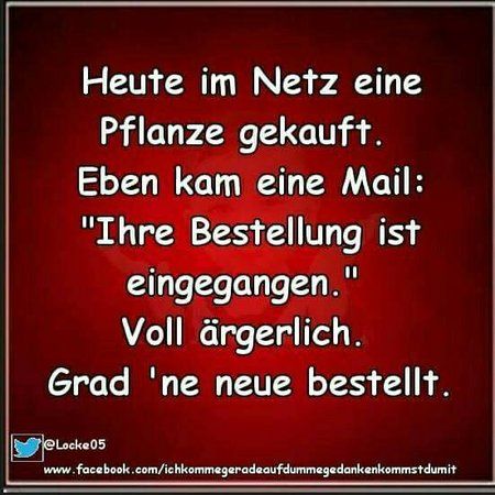 IMG-20170320-WA0012.jpg