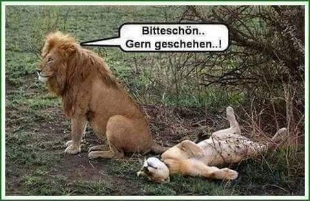 FB_IMG_1490213546860.jpg