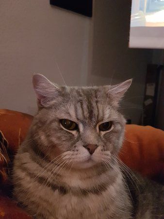 20170322_200702.jpg