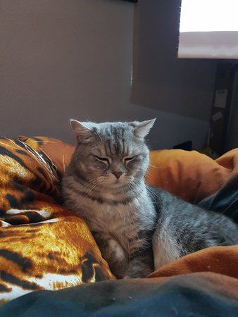 20170322_200755.jpg