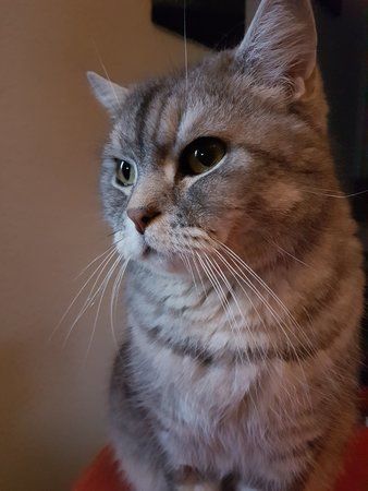 20170323_171749.jpg