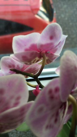 IMG_20170323_181949_STEREO.jpg